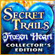 Secret Trails: Frozen Heart Collector's Edition