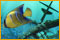 Nat Geo Adventure: Ghost Fleet